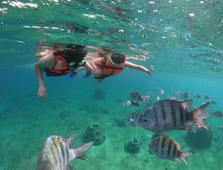 Two snorkelers swimming among striped fish