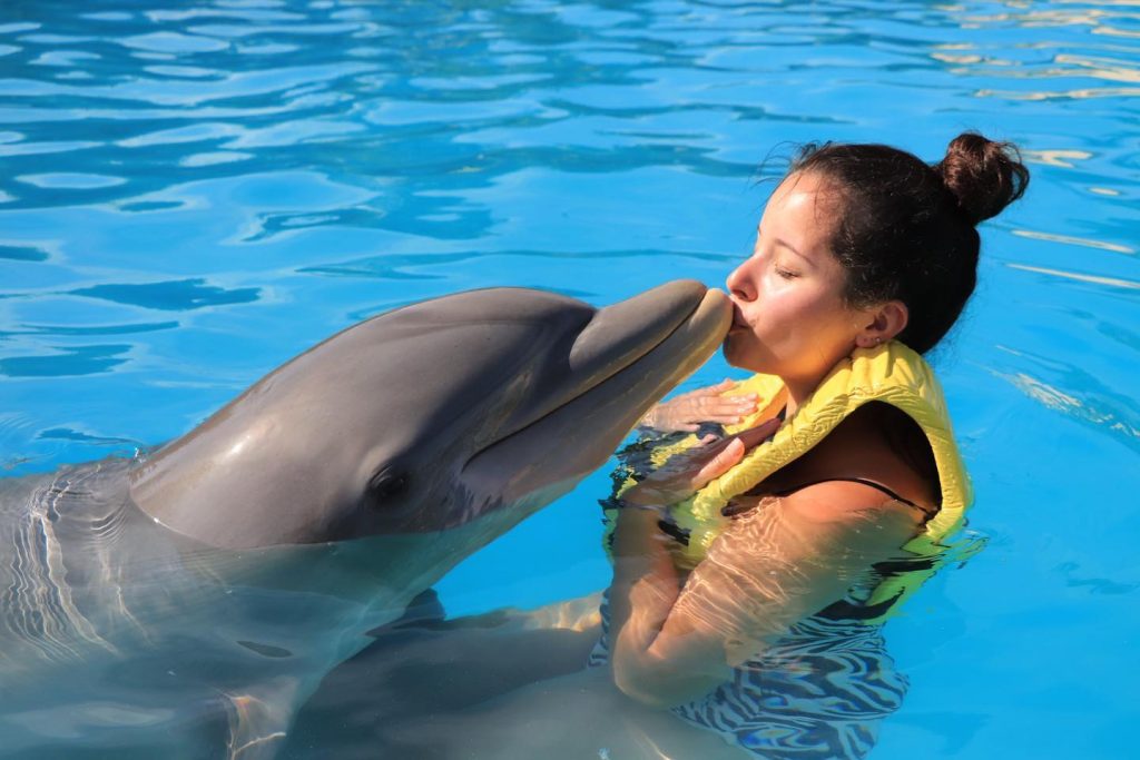 Guest kissing a dolphin during a dolphin swim