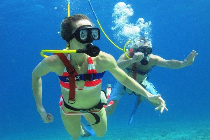 Cozumel Snuba Experience - View 1