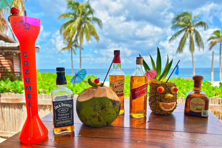 Chankanaab Beach Adventure Premium Day Pass - View 1